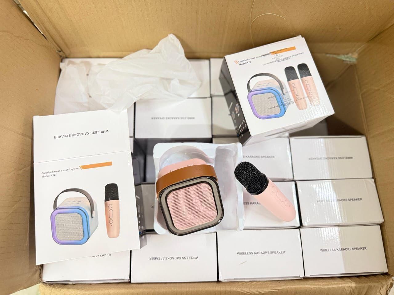 Bluetooth Karaoke Speaker with Microphone - doorbey india